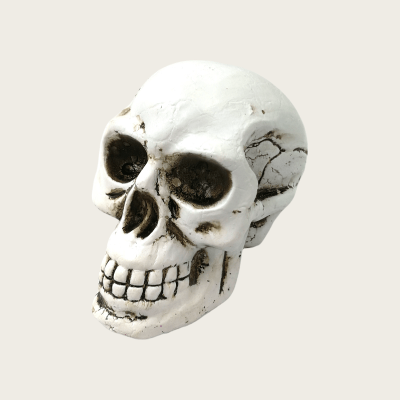 Polyresin Skull Ornament Steampunk Skulls Ornaments Resin Skull Head Home Decoration Vintage Halloween Ornament